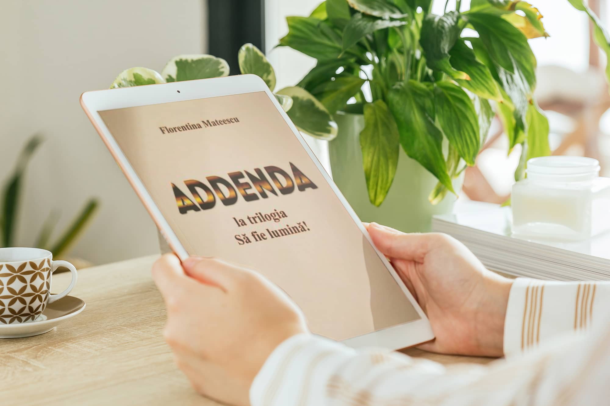 E-book(carte in format electronic) Addenda - limba romana 1 E-book(carte in format electronic) Addenda - limba romana